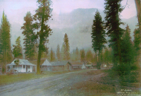 Yellow Pine at dawn, c.1930